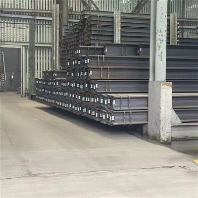 Pelanggan Dari Pakistan Mengunjungi Keluli berbentuk H